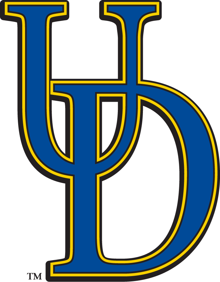 Delaware Blue Hens 2009-2018 Secondary Logo diy iron on heat transfer